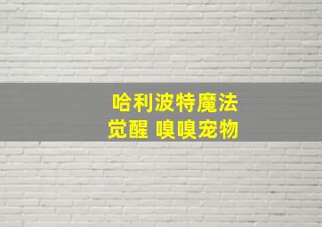 哈利波特魔法觉醒 嗅嗅宠物